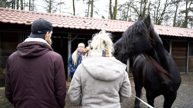 Paardencoaching Lakêch